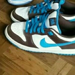 Brown blue sb dunks